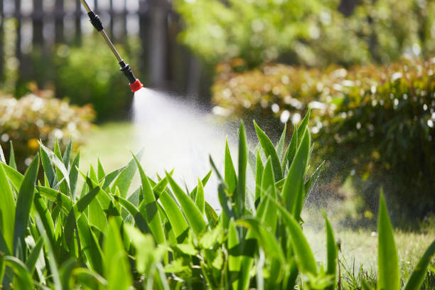 24/7 Emergency Mosquito Control experts in Mechanicsburg, OH