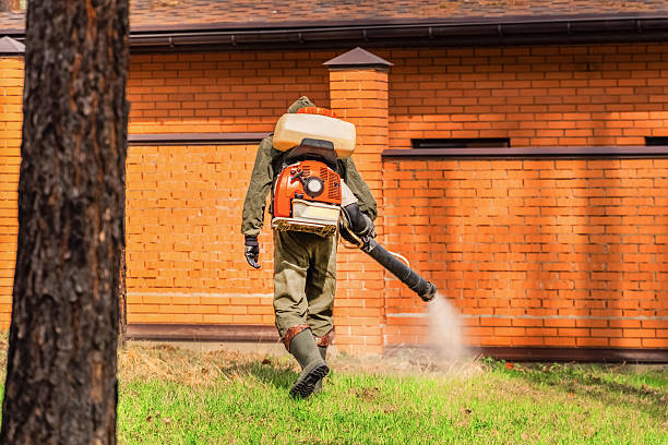 Top rated local Mosquito Control specialists in Mechanicsburg, OH